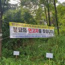 대능 이미지