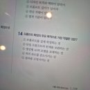 아놔고 | 이론 싫어 인간의 GTQ-AI 시험 후기(+공부 방법/아놔 책 괜히 산 듯)