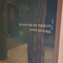 수선화카페 이미지