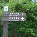 2008. 08. 07~08 지리산(백무동-천왕봉-오봉리) 이미지