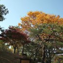 촉석공원 Daum카페