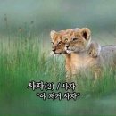 치너스