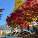 남원예가람길 하트조 | 1박2일 지리산 둘레길 3코스[인월->금계]②(p.s가을이었다🍁)