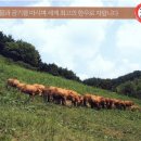 장수한우지방공사(유전자뱅크) 네이버블로그