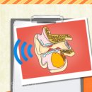 석사보장구센터 이미지