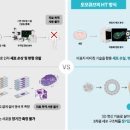토모 - 관악구 관악로15길 24 | 토모