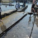 샛도리물 이미지