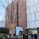 CU [예산신례원사람들점] | 예산 스플라스 리솜 워터파크 다녀온 솔직후기!!!