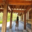 NR-47[동일로]-하-96 | 2024년 푸르르다 여름이야