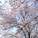 평택호그랜드관광호텔 이미지