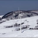 하얀목장 이미지