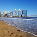 만빙고제면소 이미지