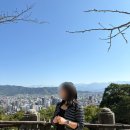 성  은 | 일본여행#7 &lt;마쓰야마성&gt; 🏯 방문 후기 | 한국인 쿠폰, 입장 방법, 천수각 방문 후기(체험 종류)