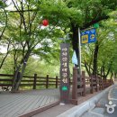 아차산체육공원 티스토리