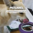 팻 밸런스 (Pet Balance) | 기호성좋은강아지사료 펫라벨 더블소프트 플러스 텐 어덜트 오리