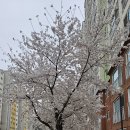 한국체대 탑 태권도장 이미지