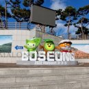 보성군청 이미지