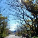 웅천농협주유소 이미지