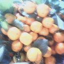 사랑마실 이미지