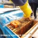 (주)한국양봉산업 이미지