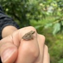 박성준 농장 이미지