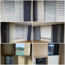 유림-1101 이미지