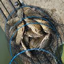 2박3일낚시터 이미지