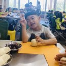 솔밭왓앤와이 영재유치원 이미지