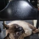 예본농장 이미지