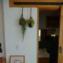 춘삼월애 | 강화도 핫플 - 카페 춘삼월애 후기 feat. 조양방직