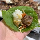남평 | 나주 갈비 맛집 | 가족 외식으로 다녀온 남평 너른터갈비 솔직 후기