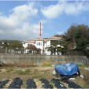 (주)로얄자산부동산중개법인 | [용인 수지 단독주택 경매] 신봉동 대지 198평·건물 114평 주택｜2025타경50284