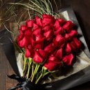 마니마니 이미지