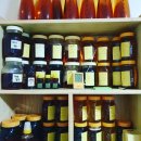 벧엘 양봉 이미지