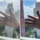 구름계란덮밥대전 - 동구 동대전로 217 | 구름계란덮밥대전