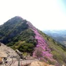 지에스25 국동어항단지점 | [등산 후기] 전남 여수시 영취산 진례봉 510m 봄꽃산행 등산 후기