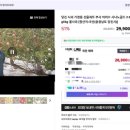 은영가족농장 이미지