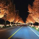 지산리 펜션 이미지