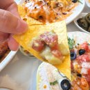 망고&체리 애견샵 | 대전 용문동 애견동반 멕시코 식당 브리또 맛집 , 스프링타코샵 엔칠라다 세트 내돈내산