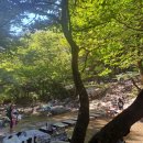 대청계곡 구름다리 공중화장실 | 김해 장유 대청계곡/여름휴가/물놀이/용지봉