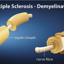 신경한의원 이미지