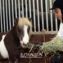 스티븐스포츠아카데미센터 이미지