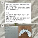 [W리뷰-2] 모드니 드레스 후기👰🏻(본식 피팅 및 예식 완료)