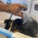 스파트리송정 이미지