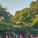 미나리광 이미지