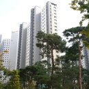 장안중앙로 이미지