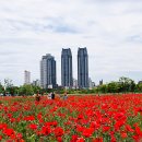 태화강 이미지
