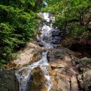 유장목장 | 349.경남 산청 둔철산(823m) 정취암, 와석총의 행복한 여름날 遊山(2023.8.26)