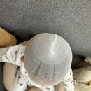 지오빌딩 | 지오헬멧 본사 단두아기의 헬멧교정 솔직 후기(1차 방문)