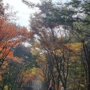 맨발걷기(노르딕워킹) | 경북단풍명소 문경새재 노르딕워킹 맨발걷기 트레킹하기 좋은 길 한국의 아름다운길 100선